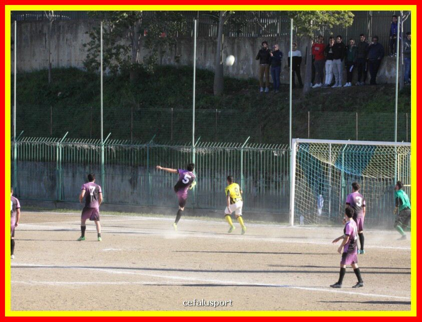 190310 Cephal_Torrenov 139_tn.jpg